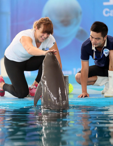 一开始就充 一开始就充